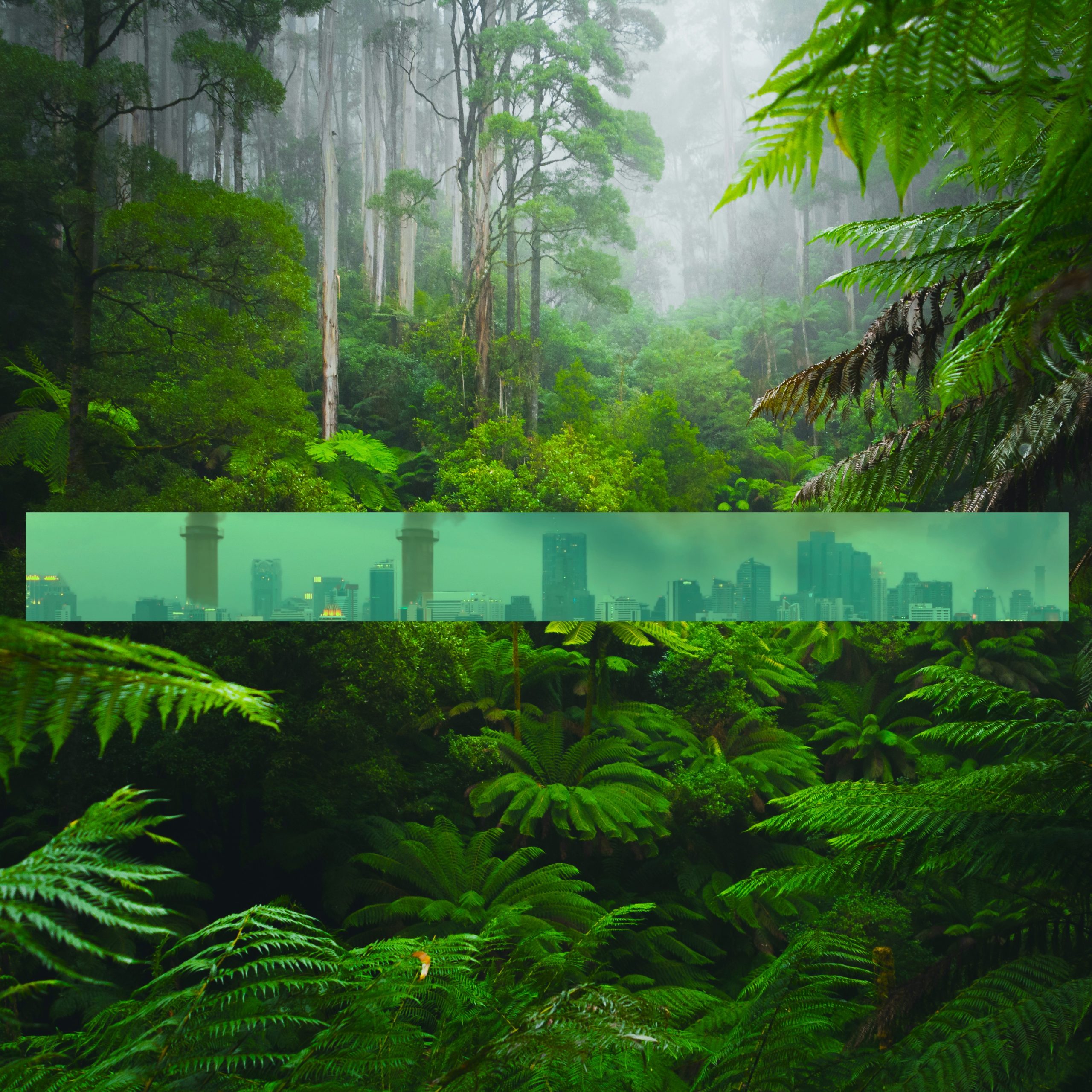 Rainforest City